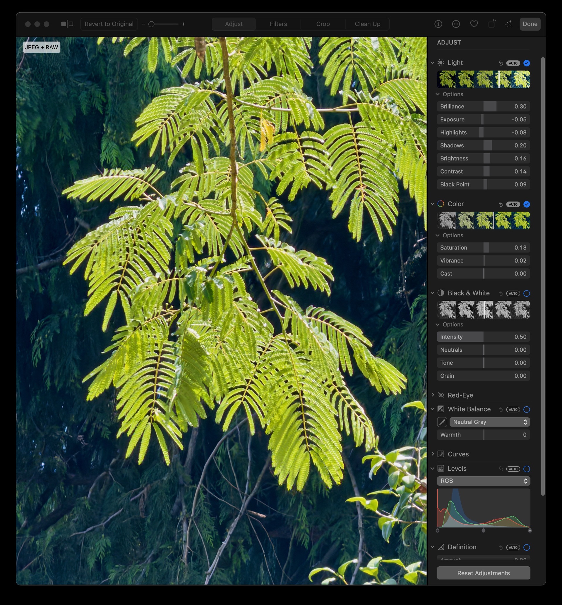 General Meeting – Editing with Apple Photos / September 8th / 6:30 pm